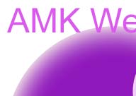 AMK Web Design service graphic from the original site materials